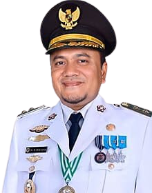 Dr. dr. H. Maulana, M.K.M.